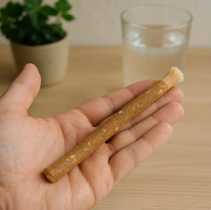 The Miswak - Smokers Resolution